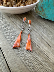 Spiny triangle Earrings